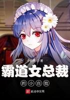 霸道女总裁的小白脸 霸道女总裁的小白脸