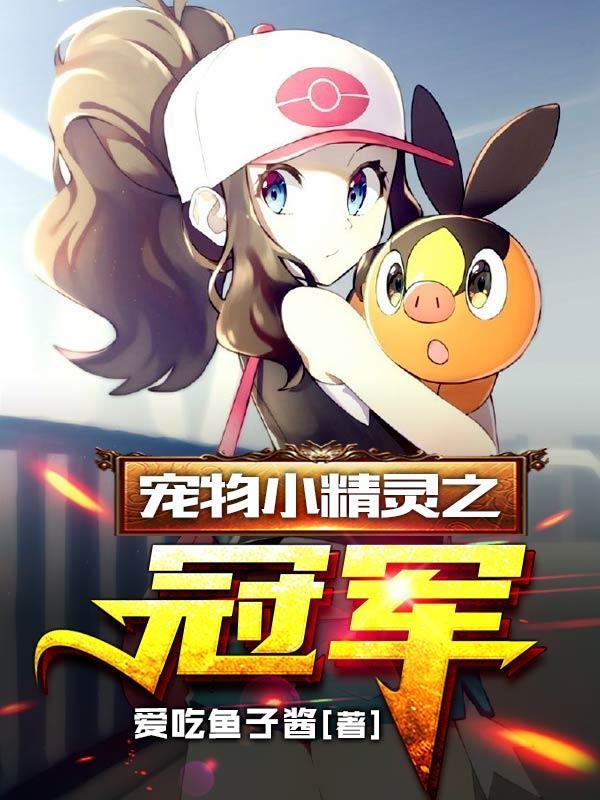 宠物小精灵之冠军 宠物小精灵之冠军