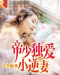 帝少独爱小逆妻 帝少独爱小逆妻