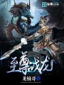 至尊战龙 至尊战龙