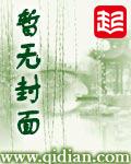 天启实录 天启实录