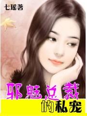 邪魅总裁的私宠 邪魅总裁的私宠