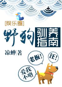 野狗驯养指南 野狗驯养指南