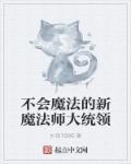 不会魔法的新魔法师大统领 不会魔法的新魔法师大统领