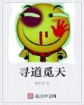 寻道觅天 寻道觅天