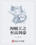 海贼王之至高剑豪 海贼王之至高剑豪