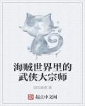 海贼世界里的武侠大宗师 海贼世界里的武侠大宗师