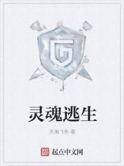 灵魂逃生 灵魂逃生