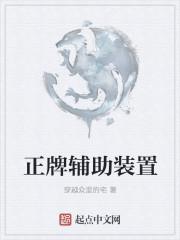 正牌辅助装置 正牌辅助装置