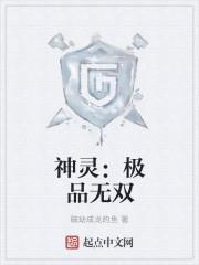 神灵:极品无双 神灵:极品无双