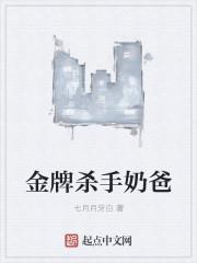 金牌杀手奶爸 金牌杀手奶爸