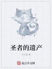 圣者的遗产 圣者的遗产