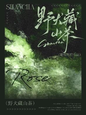 野犬藏山茶 野犬藏山茶