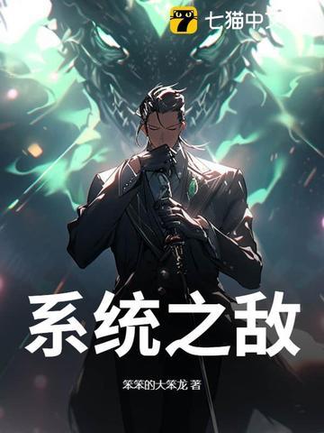 系统之敌 系统之敌