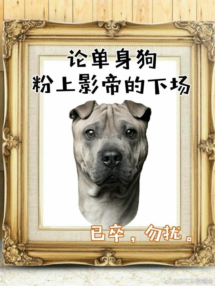 影帝酷爱撒糖! 影帝酷爱撒糖!