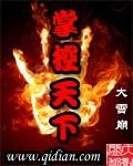 掌控天下 掌控天下