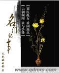 名门纪事 名门纪事
