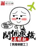 开个飞机去明朝 开个飞机去明朝