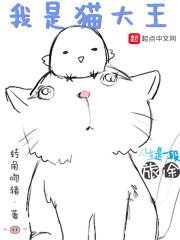 我是猫大王 我是猫大王