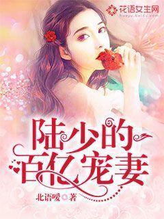 陆少的百亿宠妻 陆少的百亿宠妻